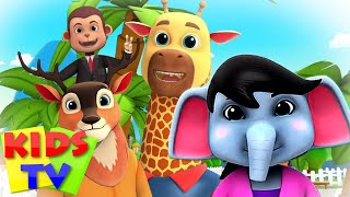 Zoo Song | We Are Going To The Zoo | Animal Sound Song | Junior Squad | Kids Tv