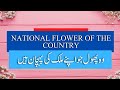 National Flowers of Different Countries - National Flowers of Countries - Flowers by Countries.