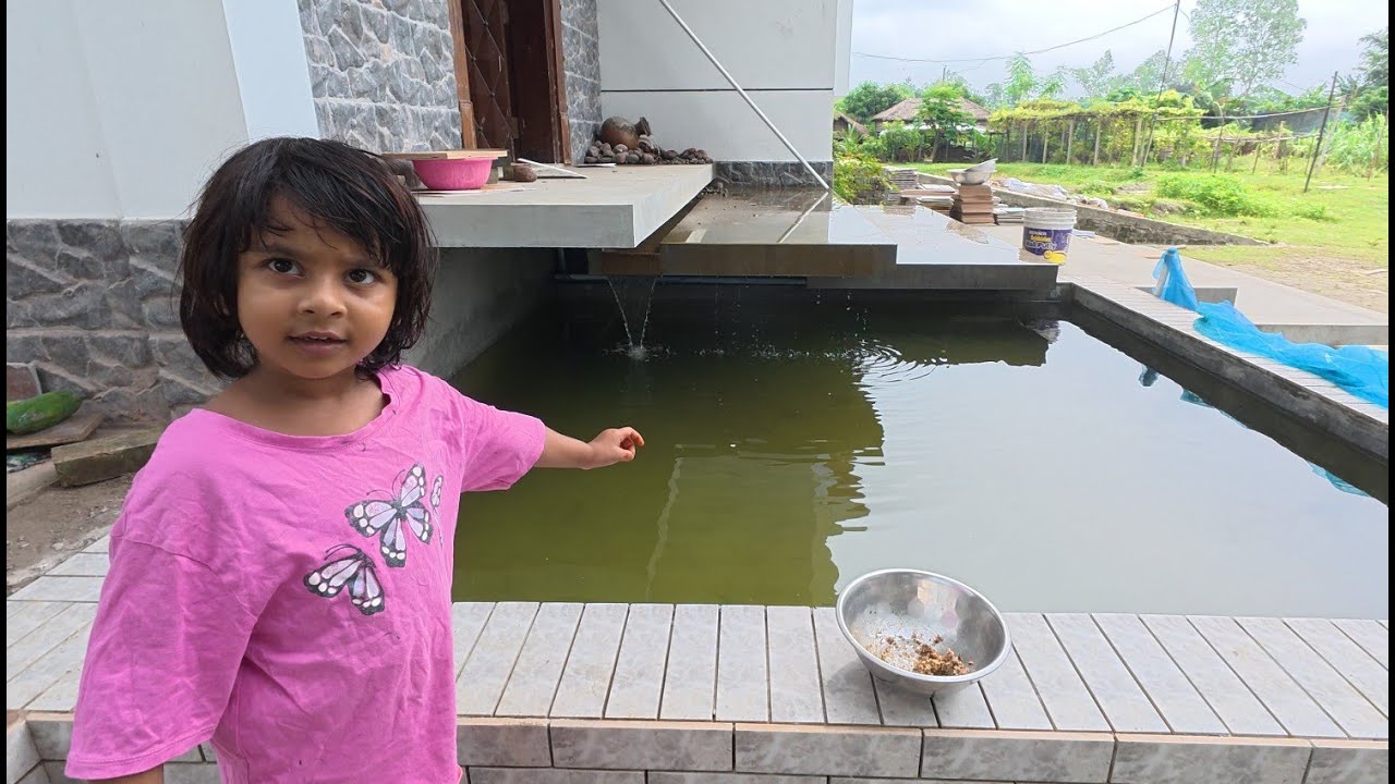 মিনি পুকুরের মাছ গুলো কেমন আছে | Doyel Agro