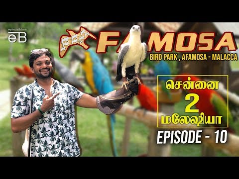 a'famosa-bird-park-&-water-theme-park-,-malacca