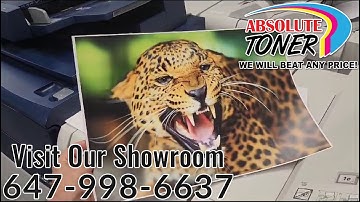 Xerox Versant 80 Digital Press High Capacity Feeder Color Commercial Ultra HD Resolution Printer