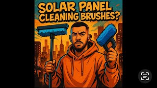 Solar Panel Cleaning Brushes / Home Depot?? + Budget lichen + pollen Removal Tips