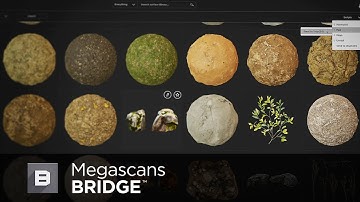 Megascans Bridge Tutorial