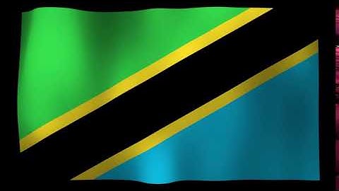 Tanzania Flag 4K Loop Video