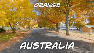 Orange – NSW – Australia