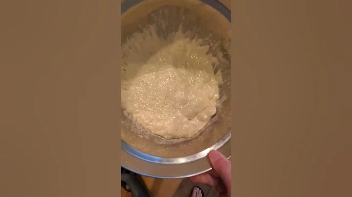 Making Artisan Bread Tips! Start Your Dough the Ni...