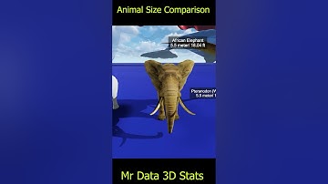 Animal Size Comparison || 3D Animation || Smallest to Monster Animals on earth 🌎 👹🐫 🐬 🦈🐳 🐯 🦁 🐍