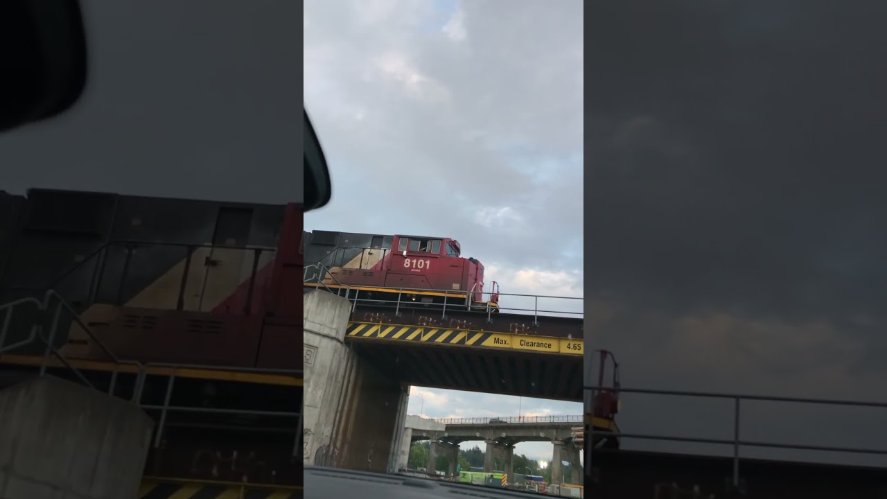 CN passed the vibe check! ✅