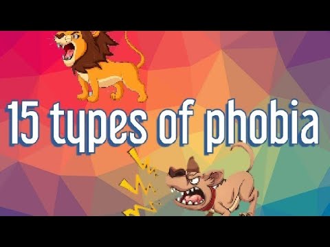 15 types of phobia  animated for kids