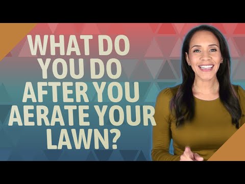 What do you do after you aerate your lawn?