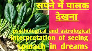 सपने में  पालक देखना .seeing  spinach  in  dreams.