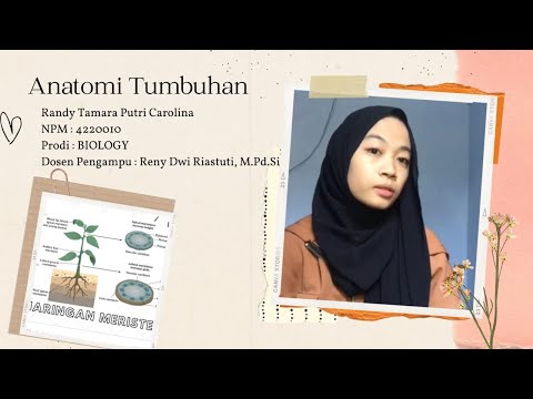 Video: Apakah jaringan meristematik kekurangan?