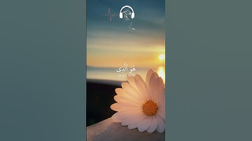 ماتيسر من سورة الأحزاب#ياسر_الدوسري #قران_كريم #surah