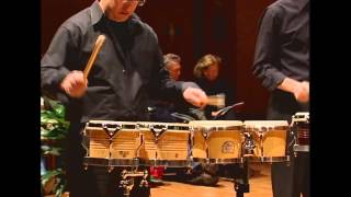 Drumming Part 1 By Steve Reich - Excerpts