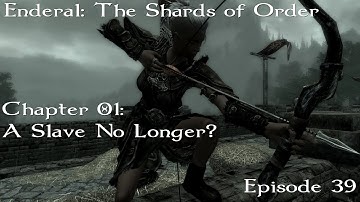 Enderal: The Shards of Order Chapter 1- A Slave No Longer? (Part 28)
