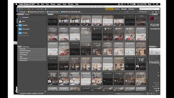 How to Master the Basics of Adobe Bridge