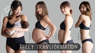 Pregnancy Transformation (Week by Week) | Kryz Uy