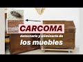 CARCOMA cómo DETECTARLA y ELIMINARLA de los muebles