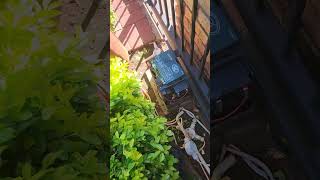 Setting Centurion D5 Gate Motor Limits - Spilling The Secrets 