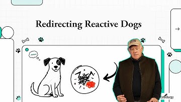 Reactieve honden omleiden