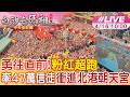 【中天直播#LIVE】勇往直前! 粉紅超跑率47萬信徒衝進北港朝天宮 20260416 @靈異錯別字ctiwugei