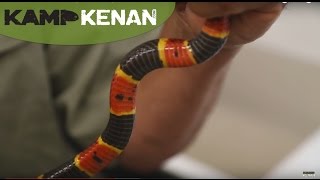 Coral Snake Venom! : Kamp Kenan S2 Episode 5