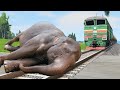 Sleeping Elephant vs Train | Stops the train | BeamNG.Drive | Train Simulator