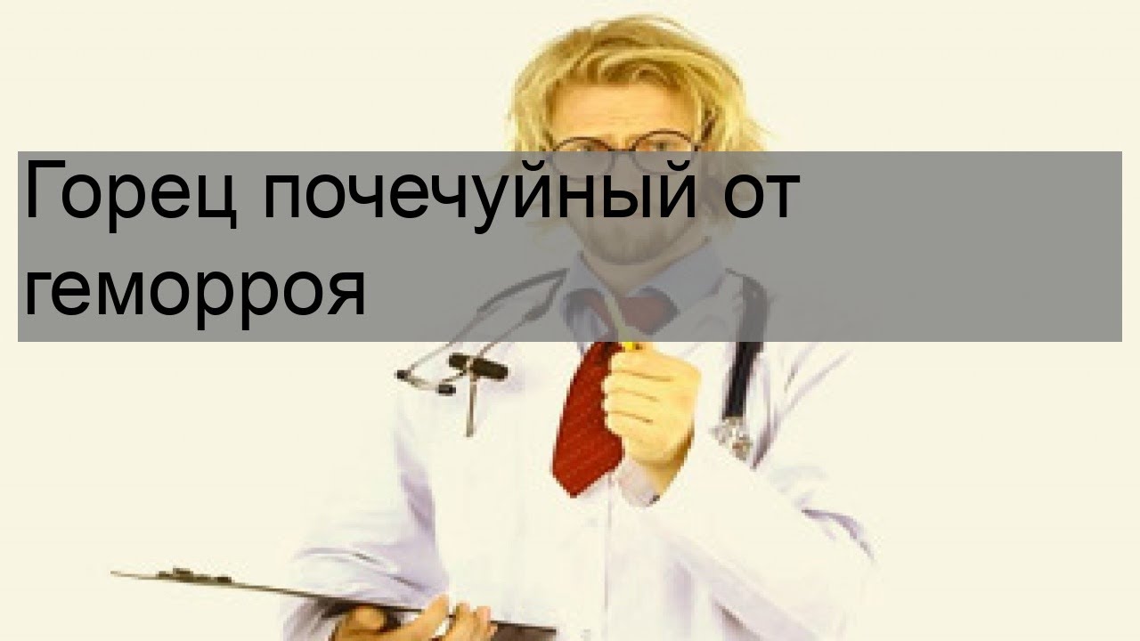 Горец почечуйный от геморроя