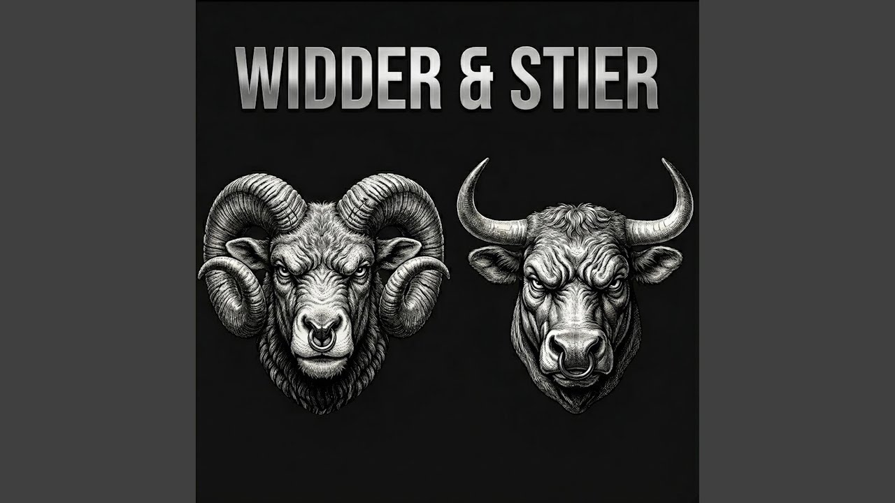 Смотреть «Widder (Stier Remix)» на YouTube Смотреть «Widder (Stier Remix)» на YouTube