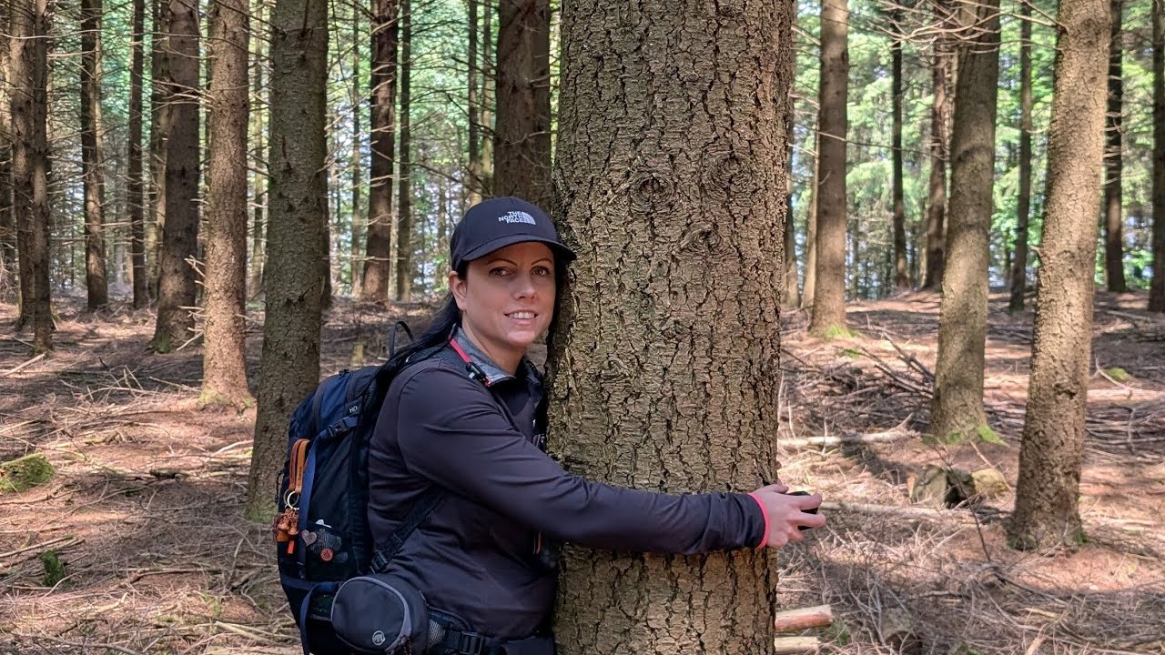 Zöllnerpfad Namborn (Kurzvideo)