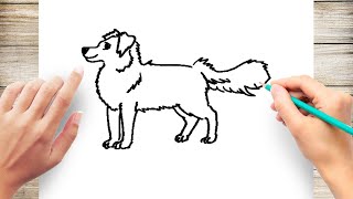 Thanks for watching our channel. how to draw a dog step by easy face,
step, dogs easy, d...