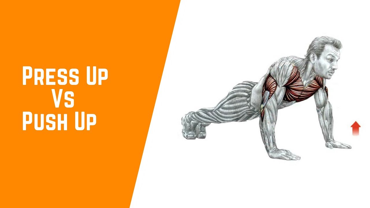 Press Up Vs Push Up: What Is the Difference? 