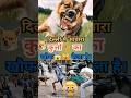 आवारा कुत्तों का आतंक #youtubeshorts #dog #dangerousdog #animals #viralvideo #shorts #realsereels