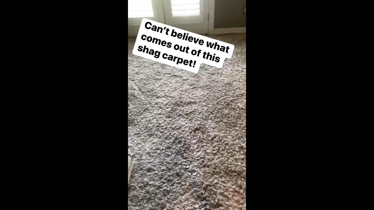 THICK SHAG CARPET CLEANING!! Unbelievable what comes out! YouTube