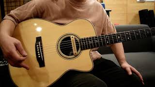 NEW/ASTURIAS SOLO Herringbone/PU - guitarshoptantan （ギター