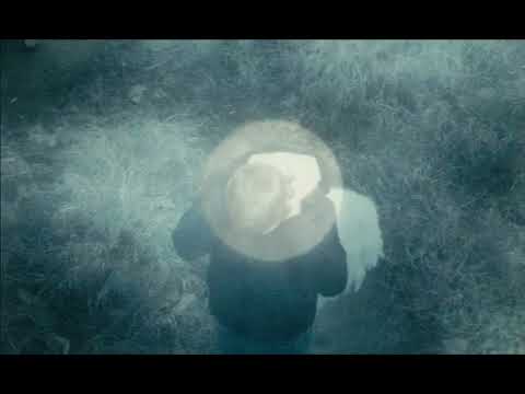 Logička Greška - Vavilon