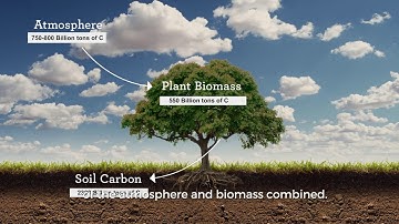 Finian Makepeace at Deepak Chopra Sages and Scientists Symposium, Los Angeles September 2016