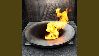 Tranquil Embers of Harmony