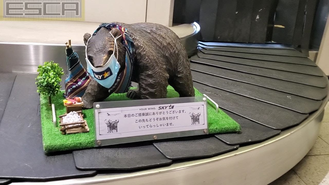 熊 ぼっ こ 新 千歳 空港