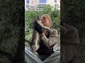 Котики. Подробности в Телеграм #shorts  #александрахаритонова #геленджик