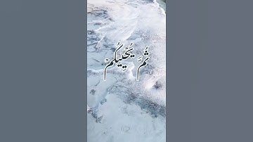 سورة البقرة - د/عادل أحمد زكي