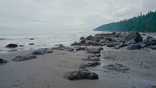 Reconnect with nature in Vancouver Island’s Juan de Fuca
Just 50 minutes in nature, three times a week, can produce a host of health benefits. Immerse yourself in the Mazda CX50 Minute Challenge to sleep better, feel better, and achieve better balance.
Looking for Cottage-related DIY projects, design tips, recipes and more? Check out http://www.cottagelife.com
SUBSCRIBE to our YouTube channel! http://bit.ly/2ErAr5S
SOCIAL MEDIA
Twitter: http://www.twitter.com/cottagelife
Facebook: http://www.facebook.com/cottagelife
Pinterest: http://pinterest.com/cottagelife
Instagram: http://instagram.com/cottagelife
COTTAGE LIFE MAGAZINE
Subscribe to Dockside DIY Newsletter http://bit.ly/2S8x2Aw
Looking for a rental in Canadian cottage country? http://bit.ly/2SbyOkp
Come and see us at Cottage Shows & Events http://bit.ly/2OAdbIf
Cottage Life Podcast https://cottagelife.com/exp/podcast/
Articles youll enjoy!
5 easy ways to prevent dust spread during a build
https://cottagelife.com/design-diy/5-easy-ways-to-prevent-dust-spread-during-a-build/
Hibernation secrets: why animals don’t get weak over the winter
https://cottagelife.com/outdoors/hibernation-secrets-why-animals-dont-get-weak-over-the-winter/
A dozen DIY tasks to tackle in winter
https://cottagelife.com/design-diy/a-dozen-diy-tasks-to-tackle-in-winter/ Reconnect with nature in Vancouver Island’s Juan de Fuca