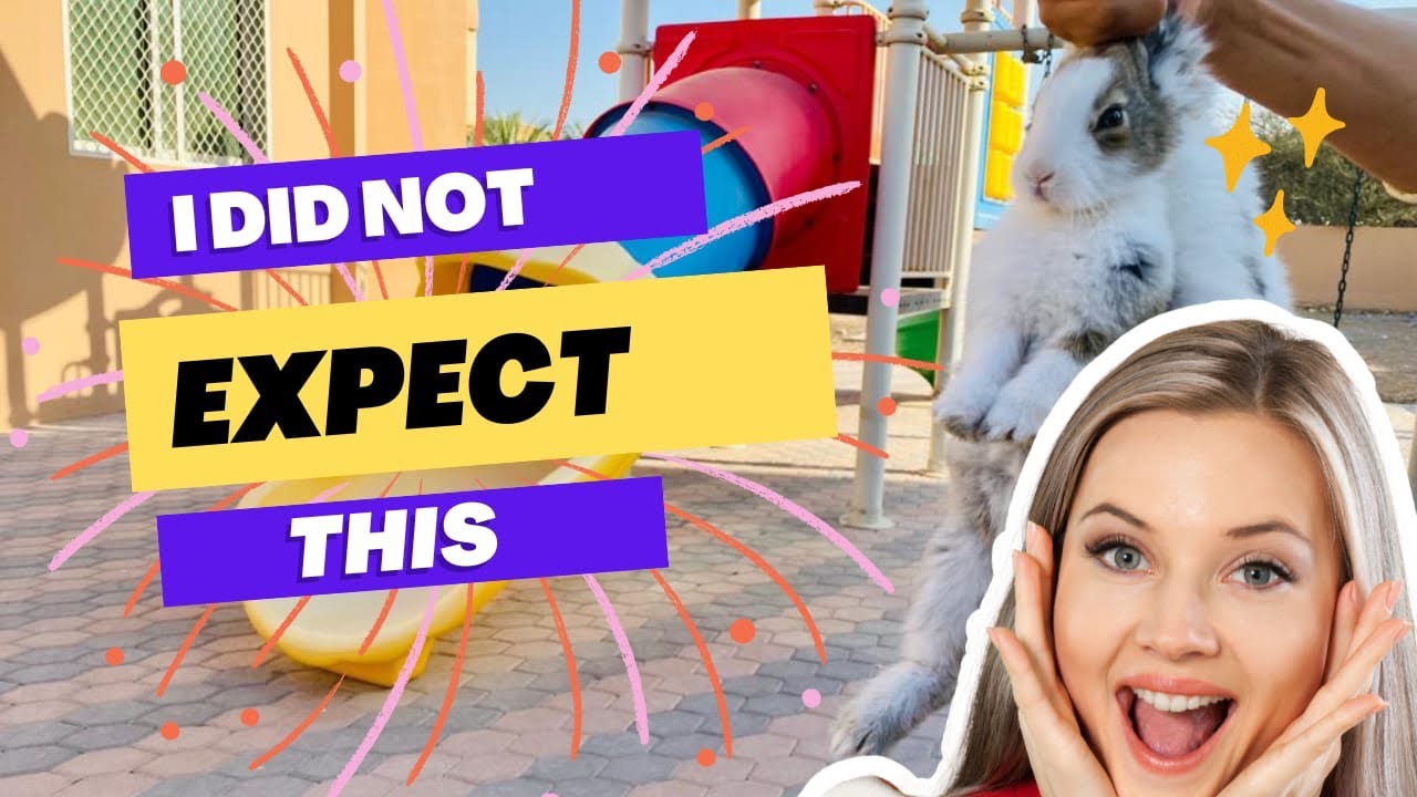 Cute rabbit make me smile / Funniest rabbits ever / ajj to rabbits k ...