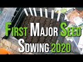 The Big First Seed Sowing of 2022