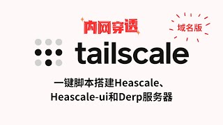 【全网首发】最新、全网最简单的tailscale搭建方案（域名版），一键搭建headscale、headscale-ui和derp服务器，实现内网穿透、远程访问，点对点传输，轻松打通内外网#一瓶奶油