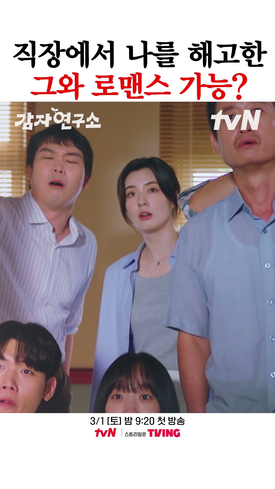 상사와의 로맨스 가능하다 VS 불가능하다 #감자연구소