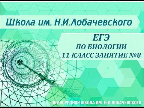 ЕГЭ по биологии 11 класс Занятие №8 Царство животные. Подцарство многоклеточные. Тип хордовые