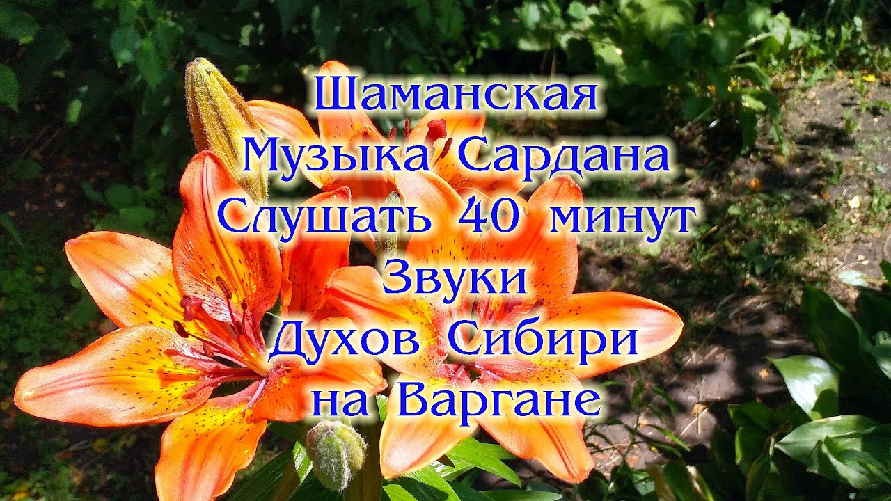 Сардана с днем рождения картинки