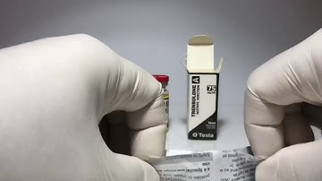 video 2017 04 26 04 23 13