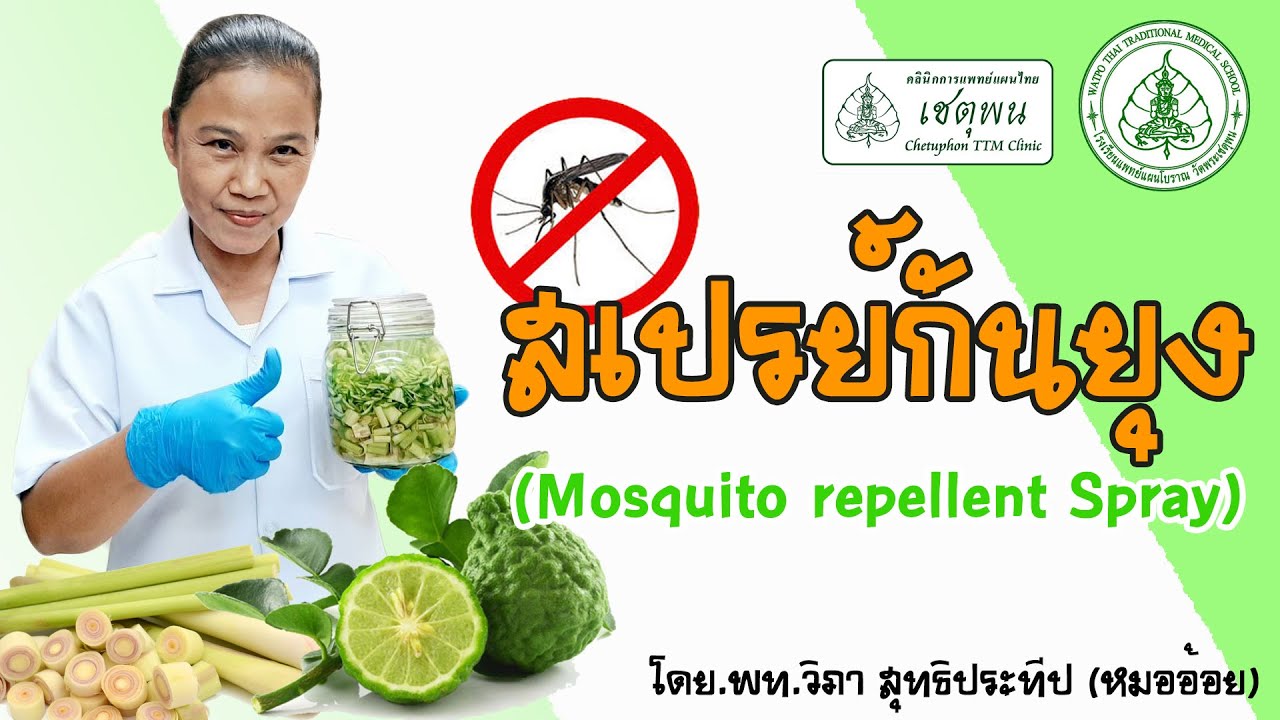 สเปรย์กันยุง (Mosquito repellent Spray)